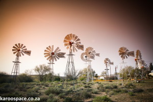 loeriesfontein