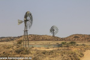 karoo windpumps