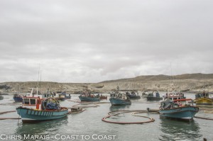 alexander bay