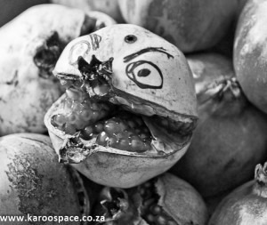 karoo heartland