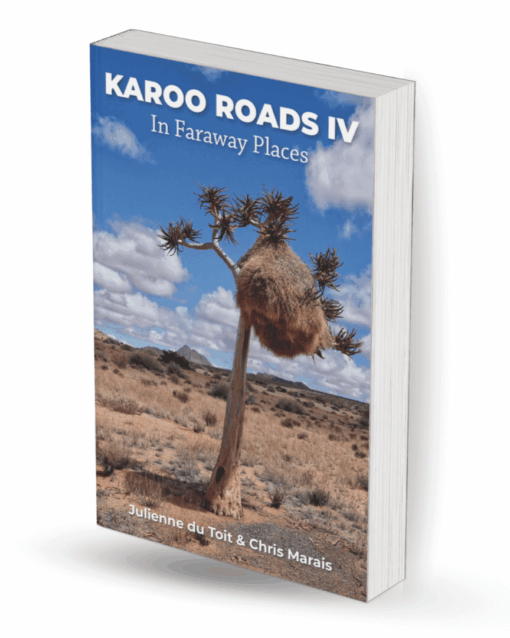 Karoo Space Karoo Roads 4