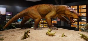 Karoo Space Fossils
