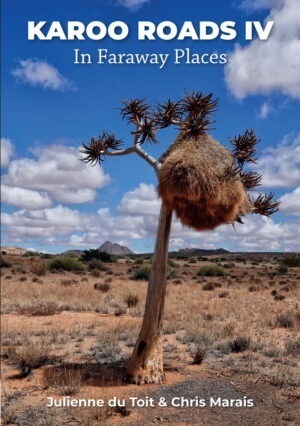 Karoo Space Karoo Roads 4 Cover