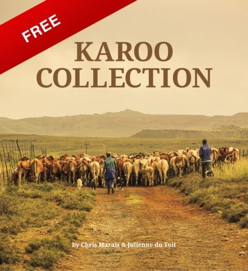 Free Karoo Ebook
