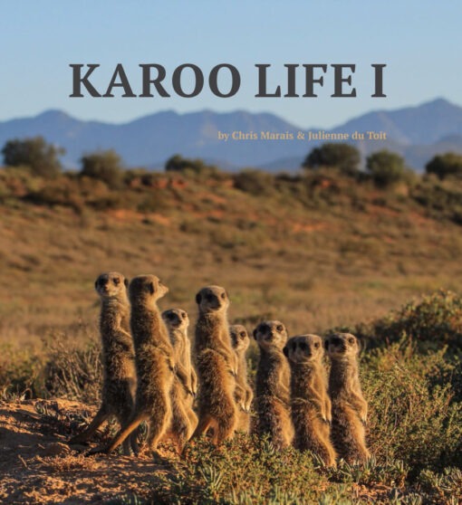 Karoo Life I Ebook